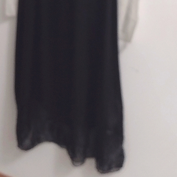 ZARA Sultry Silk Slip Lace Art Deco Flapper Dress NWT - Picture 13 of 13